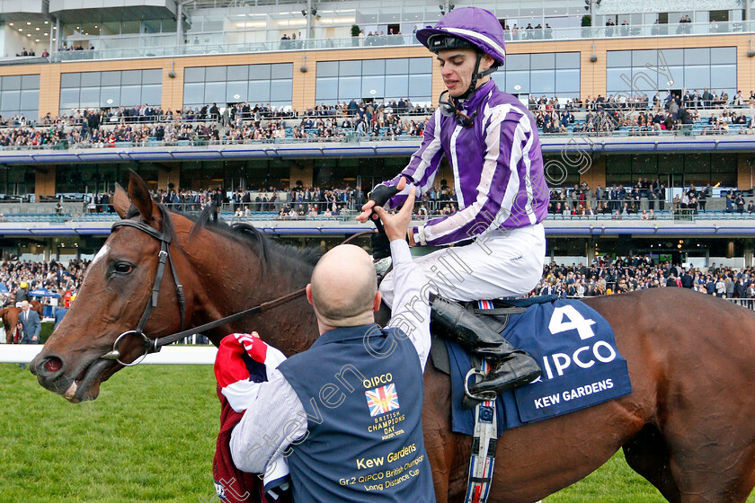 Kew-Gardens-0007 
 KEW GARDENS (Donnacha O'Brien) after The Qipco British Champions Long Distance Cup
Ascot 19 Oct 2019 - Pic Steven Cargill / Racingfotos.com