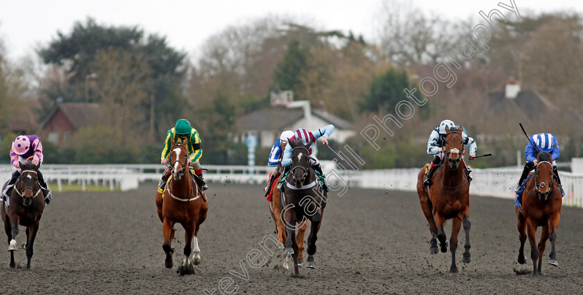 Nortonthorpe-Boy-0007 
 NORTONTHORPE BOY (centre, Luke Morris) beats THUNDER OF NIAGARA (2nd left) BROXI (left) FANGORN (2nd right) and TAWLEED (right) in The Play Ladbrokes 5-A-Side Handicap
Kempton 27 Mar 2021 - Pic Steven Cargill / Racingfotos.com