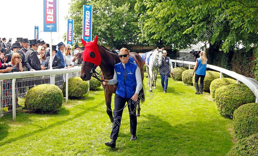 Military-Order-7556 
 MILITARY ORDER
Epsom 3 Jun 2023 - Pic Steven Cargill / Racingfotos.com