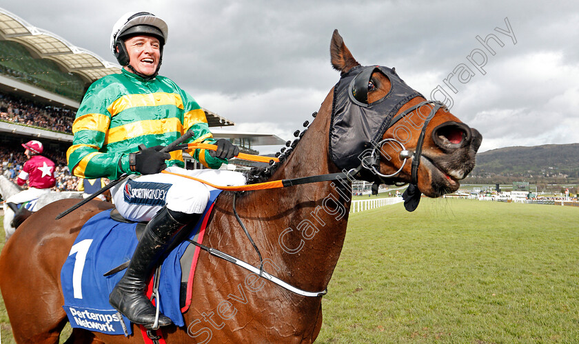 Sire-Du-Berlais-0009 
 SIRE DU BERLAIS (Barry Geraghty) after The Pertemps Network Final Handicap Hurdle
Cheltenham 12 Mar 2020 - Pic Steven Cargill / Racingfotos.com