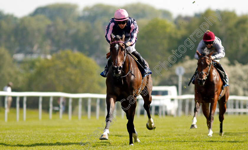 Spirit-Of-Bermuda-0009 
 SPIRIT OF BERMUDA (Tom Marquand) wins The Follow Us On Twitter @leicesterraces Fillies Handicap
Leicester 1 Jun 2021 - Pic Steven Cargill / Racingfotos.com