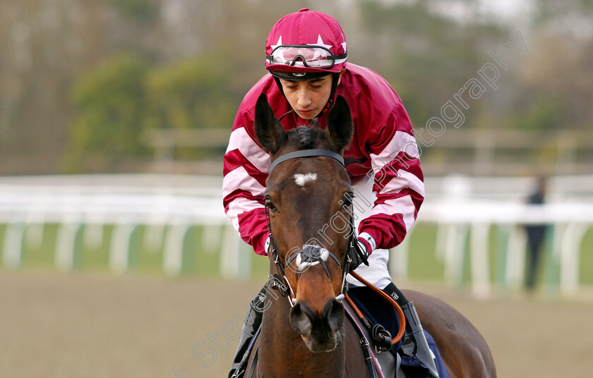 Gearing s-Point-0001 
 GEARING'S POINT (Mikkel Mortensen)
Lingfield 7 Mar 2024 - Pic Steven Cargill / Racingfotos.com