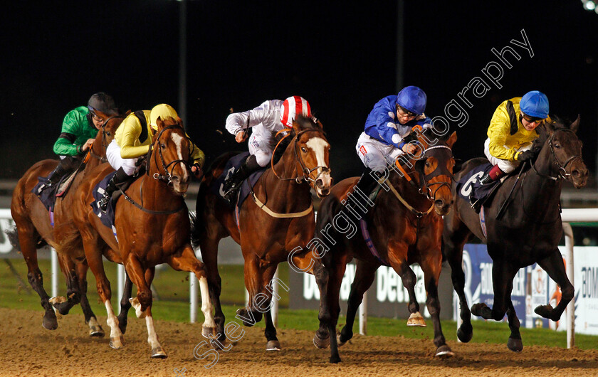 Victory-Heights-0003 
 VICTORY HEIGHTS (2nd left, P J McDonald) beats MIGHTY GURKHA (2nd right) ZAMAANI (left) and YAZAMAN (right) in The Ladbrokes Watch Racing Online For Free Conditions Stakes
Wolverhampton 5 Dec 2020 - Pic Steven Cargill / Racingfotos.com