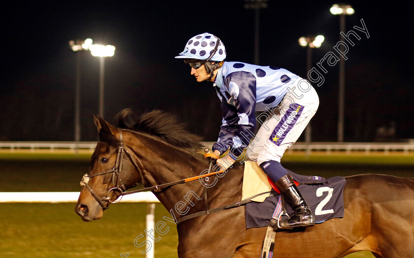 Eccentric-0001 
 ECCENTRIC (Daniel Muscutt)
Wolverhampton 9 Mar 2024 - Pic Steven Cargill / Racingfotos.com