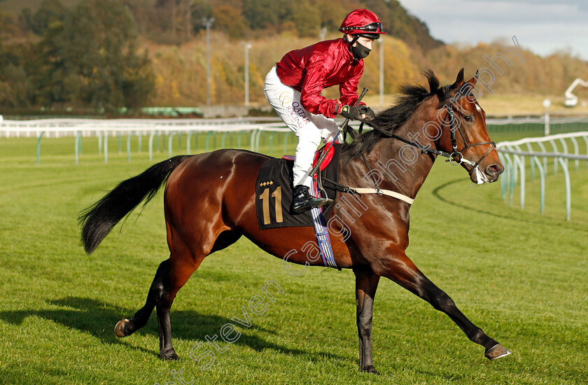 Radiant-Light-0002 
 RADIANT LIGHT (Cieren Fallon)
Nottingham 4 Nov 2020 - Pic Steven Cargill / Racingfotos.com