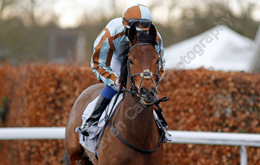 Thunder-Lily-0001 
 THUNDER LILY (Martin Dwyer)
Kempton 16 Feb 2021 - Pic Steven Cargill / Racingfotos.com