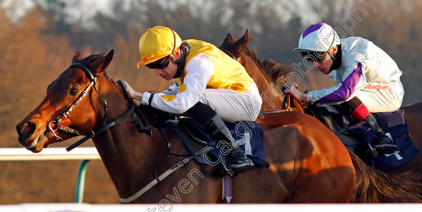 Invincible-Larne-0001 
 INVINCIBLE LARNE (Callum Shepherd)
Lingfield 9 Jan 2021 - Pic Steven Cargill / Racingfotos.com