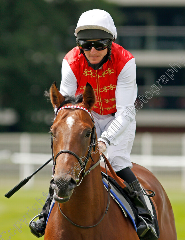 Royal-Scimitar-0001 
 ROYAL SCIMITAR (Liam Keniry) winner of The bet365 EBF Novice Stakes
Newbury 19 Jul 2020 - Pic Steven Cargill / Racingfotos.com