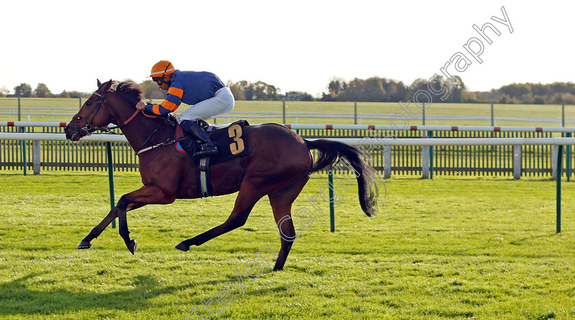 Turntable-0003 
 TURNTABLE (Kaiya Fraser) wins The Newmarket Beacon Thanks Mark Kirby Handicap
Newmarket 28 Oct 2022 - Pic Steven Cargill / Racingfotos.com