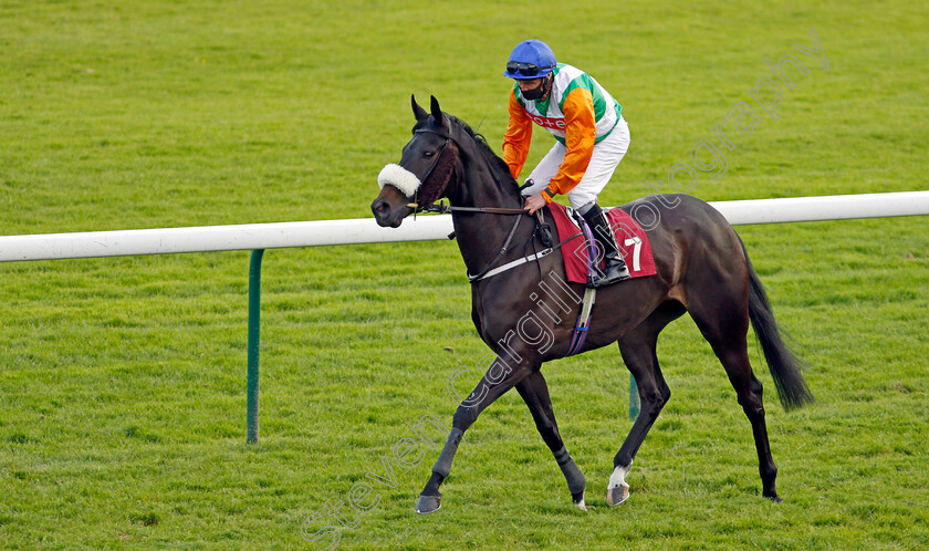 Society-Queen-0001 
 SOCIETY QUEEN (Tony Hamilton)
Haydock 28 May 2021 - Pic Steven Cargill / Racingfotos.com