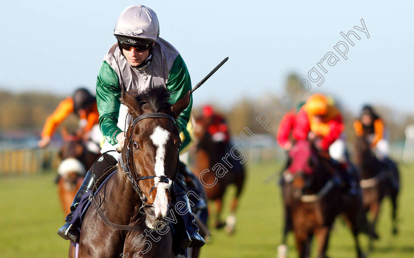 Mystic-Meg-0008 
 MYSTIC MEG (Jack Mitchell) wins The RCA Flat Racecourse Groundstaff Award Winners Handicap
Yarmouth 23 Oct 2018 - Pic Steven Cargill / Racingfotos.com