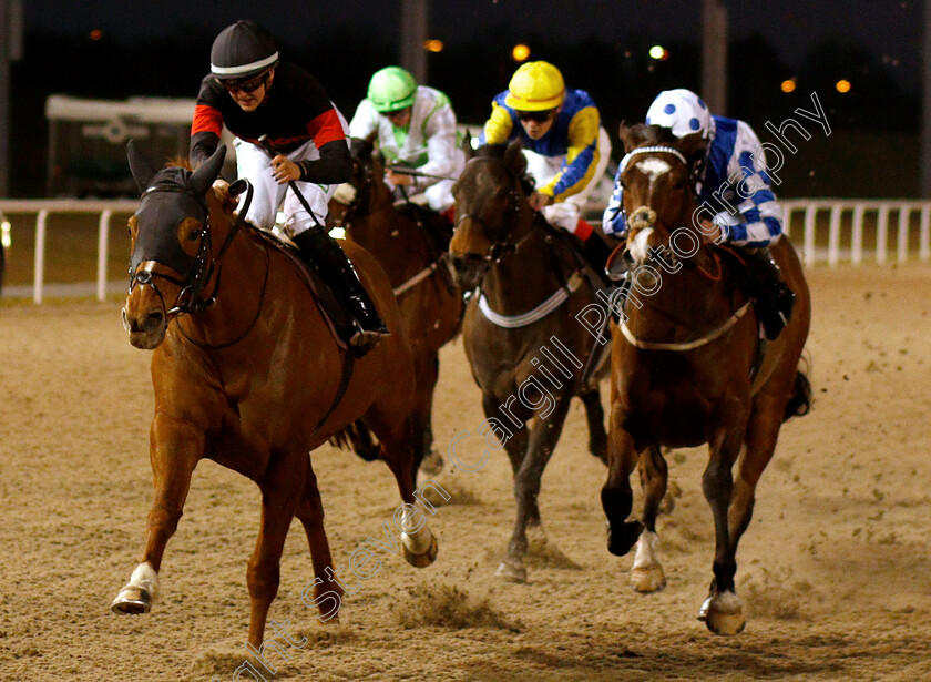 Gentlemen-0002 
 GENTLEMEN (Josephine Gordon) wins The totepool Cashback Club At totesport.com Handicap
Chelmsford 20 Feb 2019 - Pic Steven Cargill / Racingfotos.com