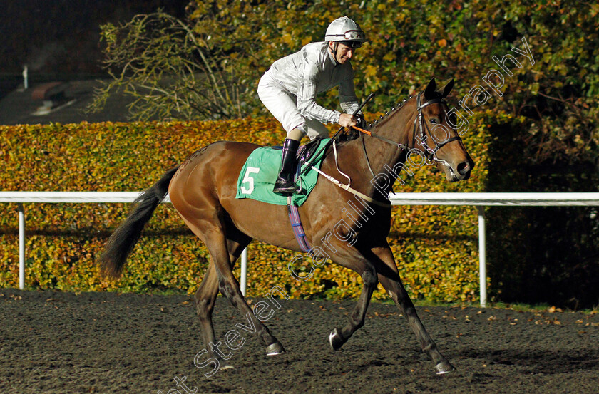 Claremont-Avenue 
 CLAREMONT AVENUE (Joe Fanning)
Kempton 10 Nov 2021 - Pic Steven Cargill / Racingfotos.com