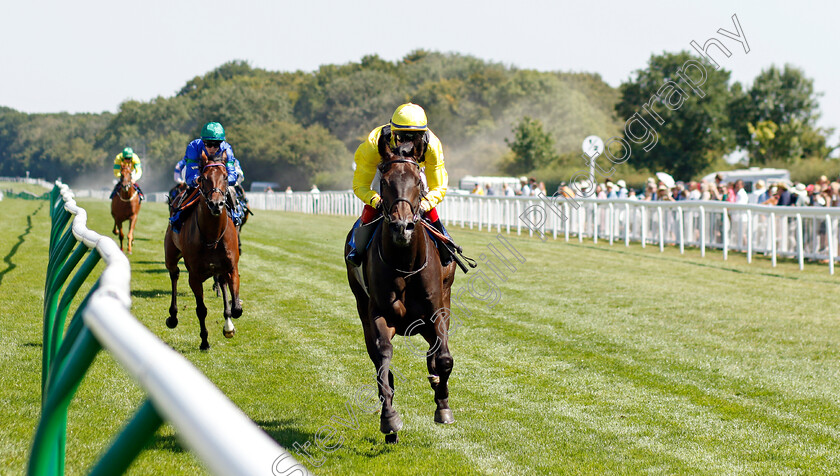 Faattik-0001 
 FAATTIK (David Egan) wins The Sorvio Insurance Brokers Novice Stakes
Salisbury 11 Aug 2022 - Pic Steven Cargill / Racingfotos.com