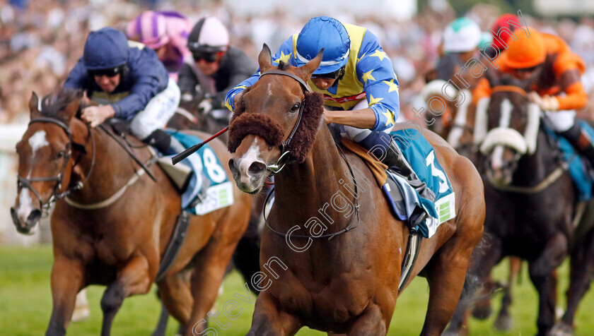 The-Green-Man-0002 
 THE GREEN MAN (Kaiya Fraser) wins The Clean Up With PPS Handicap
York 17 Jun 2023 - Pic Steven Cargill / Racingfotos.com