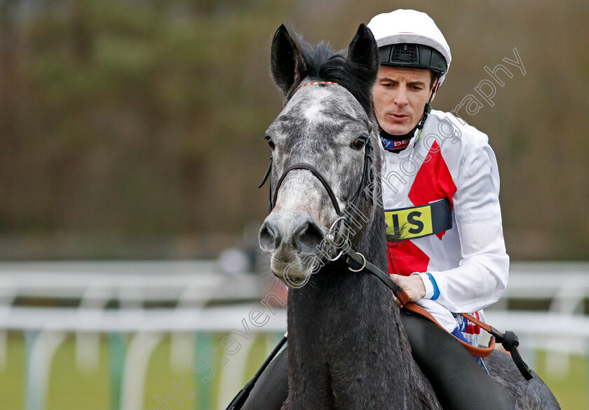 Past-Master-0002 
 PAST MASTER (Fran Berry) Lingfield 13 Dec 2017 - Pic Steven Cargill / Racingfotos.com