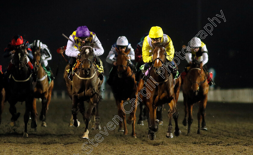 Mizuumi-0003 
 MIZUUMI (right, Benoit de la Sayette) beats BORN A REBEL (left) in The Racing TV Restricted Maiden Fillies Stakes
Kempton 13 Dec 2023 - Pic Steven Cargill / Racingfotos.com