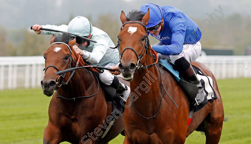 Setting-Sail-0004 
 SETTING SAIL (right, James Doyle) beats MT AUGUSTUS (left) in The Get 1/4 Odds At 188bet Future Stayers Maiden Stakes Goodwood 27 Sep2017 - Pic Steven Cargill / Racingfotos.com