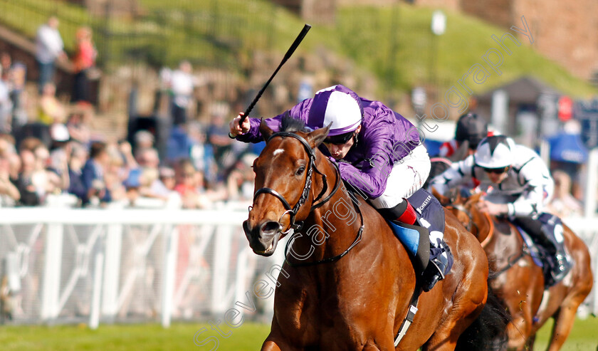 Tony-Montana-0004 
 TONY MONTANA (David Egan) wins The Precision Facades Handicap
Chester 9 May 2024 - Pic Steven Cargill / Racingfotos.com