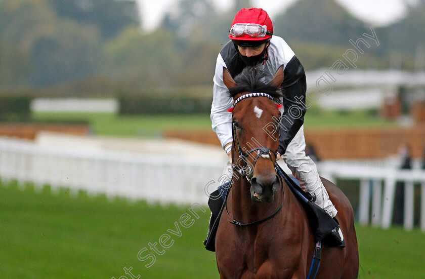 Golden-Rules-0001 
 GOLDEN RULES (Martin Harley)
Ascot 2 Oct 2020 - Pic Steven Cargill / Racingfotos.com