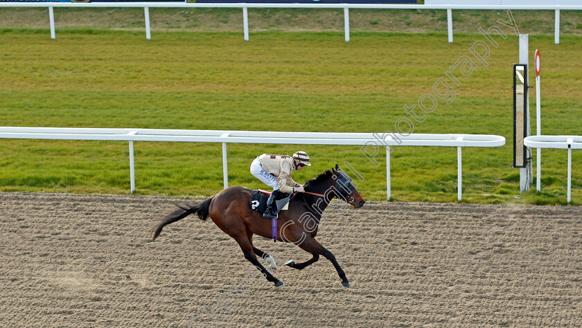 Jungle-Run-0006 
 JUNGLE RUN (Jack Mitchell) wins The Ministry Of Sound Disco Handicap
Chelmsford 31 mar 2022 - Pic Steven Cargill / Racingfotos.com