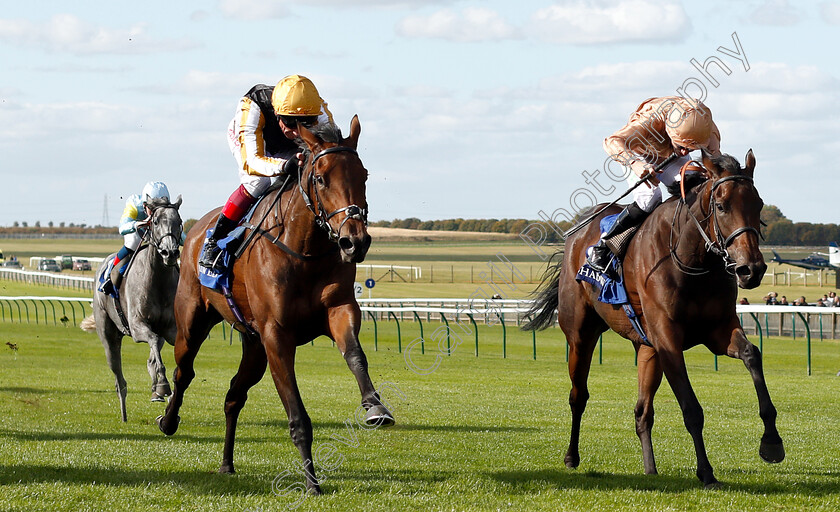 Highgarden-0004 
 HIGHGARDEN (left, Frankie Dettori) beats MRS SIPPY (right) in The Princess Royal Nayef Stakes
Newmarket 28 Sep 2018 - Pic Steven Cargill / Racingfotos.com