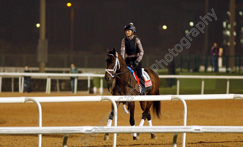 Life-Is-Good-0005 
 LIFE IS GOOD training for The Dubai World Cup
Meydan, Dubai, 24 Mar 2022 - Pic Steven Cargill / Racingfotos.com