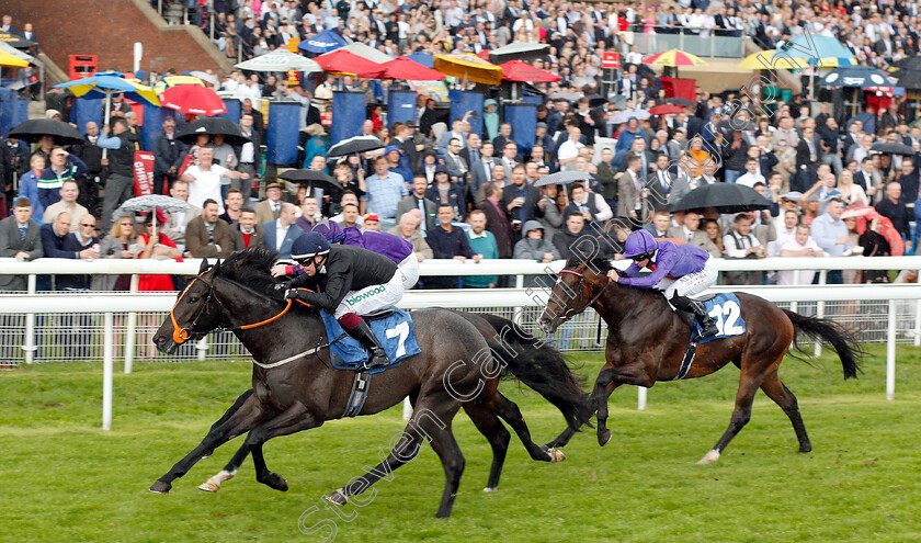 Magical-Max-0003 
 MAGICAL MAX (Andrew Mullen) wins The Reg Griffin Appreciation EBFstallions.com Maiden Stakes
York 15 Jun 2019 - Pic Steven Cargill / Racingfotos.com