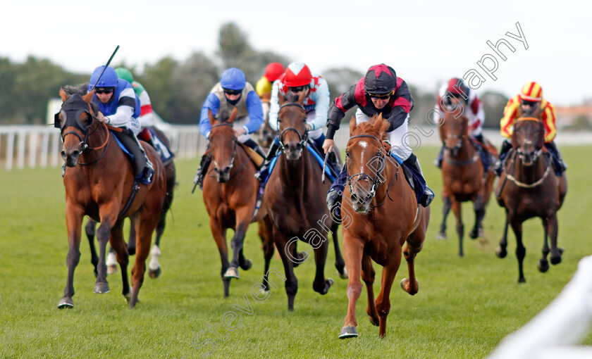 Awesomedude-0002 
 AWESOMEDUDE (John Egan) beats MOTAMAYIZ (left) in The Final Furlong Podcast Handicap
Yarmouth 28 Jul 2020 - Pic Steven Cargill / Racingfotos.com