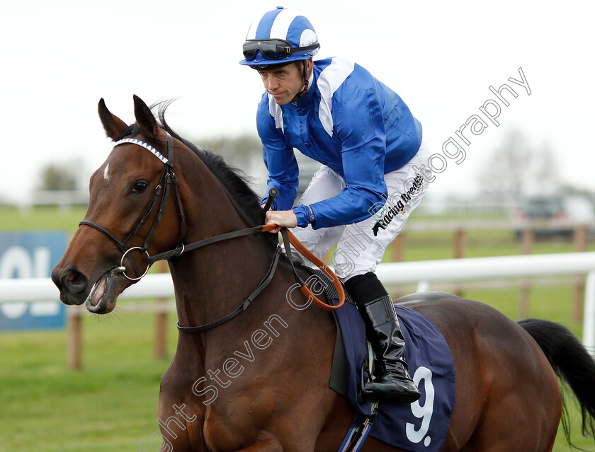 Raheeb-0002 
 RAHEEB (Jim Crowley)
Bath 17 Oct 2018 - Pic Steven Cargill / Racingfotos.com