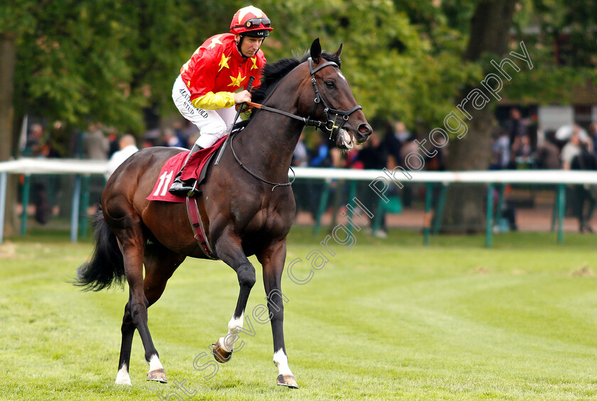 Awe-0001 
 AWE (Martin Dwyer)
Haydock 25 May 2019 - Pic Steven Cargill / Racingfotos.com