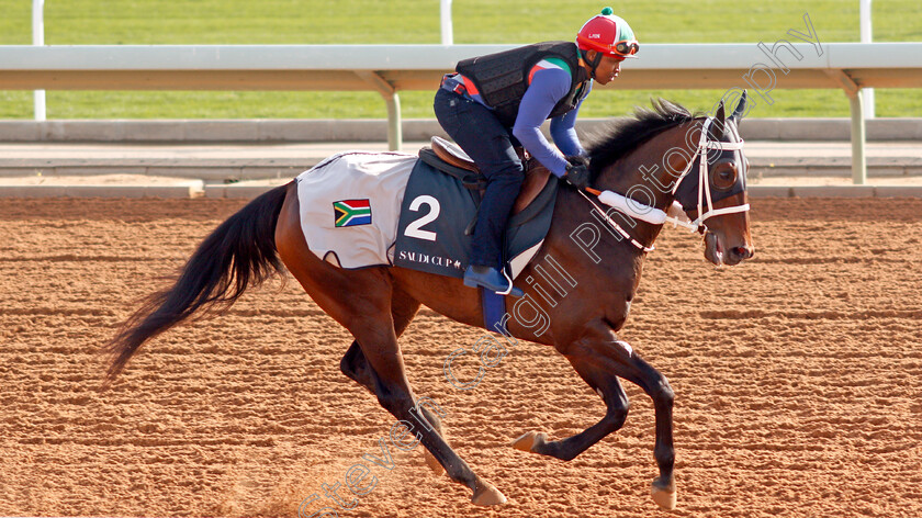 Bella-Fever-0001 
 BELLA FEVER preparing for The Saudi Derby
Riyadh Racetrack, Kingdom Of Saudi Arabia, 27 Feb 2020 - Pic Steven Cargill / Racingfotos.com