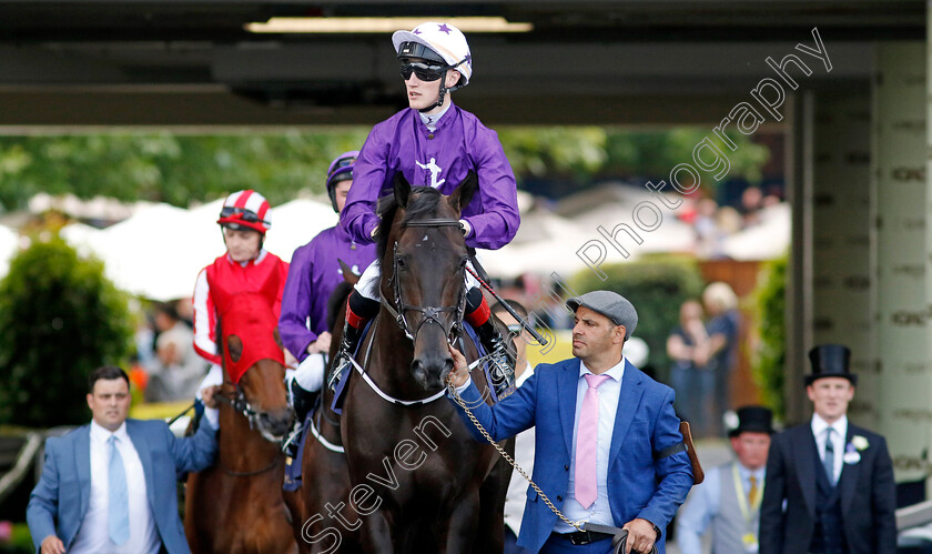 Elegant-Man-0001 
 ELEGANT MAN (David Egan)
Royal Ascot 22 Jun 2024 - Pic Steven Cargill / Racingfotos.com