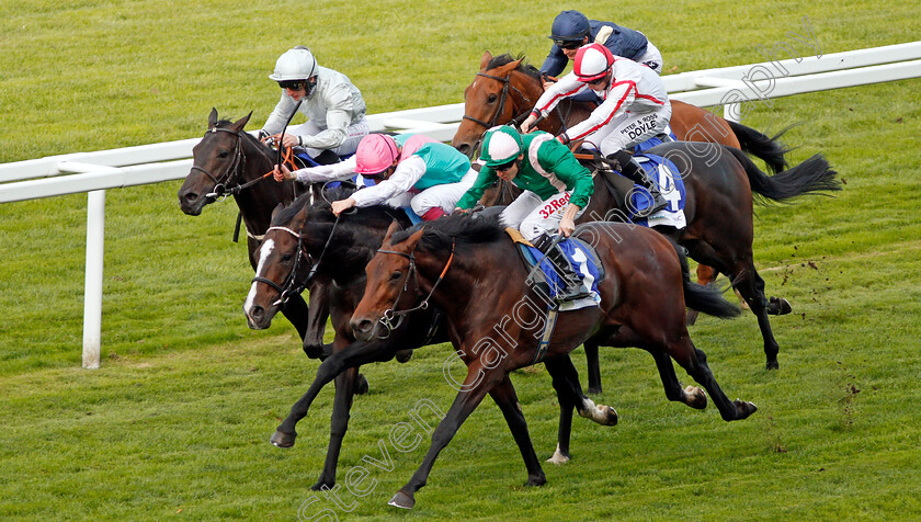 Raheen-House-0004 
 RAHEEN HOUSE (right, Jamie Spencer) beats WEEKENDER (centre) and HOCHFELD (left) in The Londonmetric Noel Murless Stakes Ascot 6 Oct 2017 - Pic Steven Cargill / Racingfotos.com