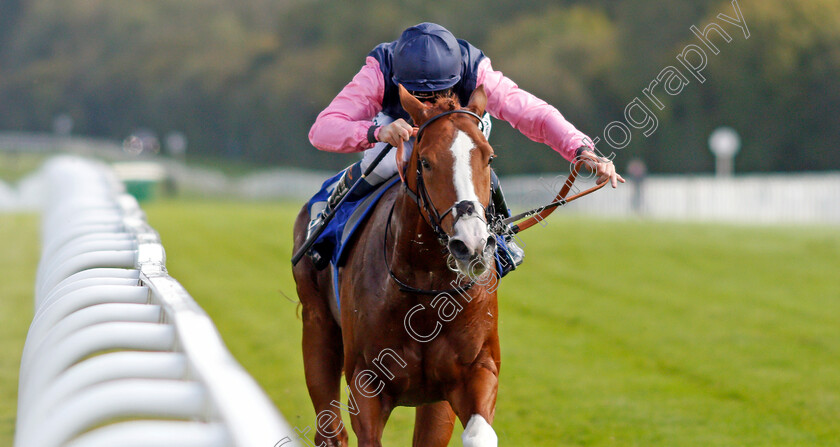 Autumn-Twilight-0004 
 AUTUMN TWILIGHT (Kieran Shoemark) wins The Byerley Stud British EBF Novice Stakes Div1
Salisbury 1 Oct 2020 - Pic Steven Cargill / Racingfotos.com