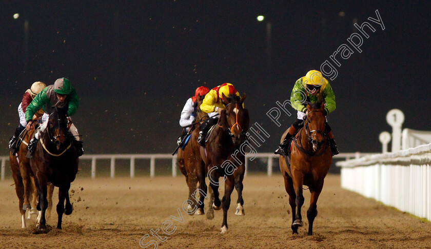 Swissal-0002 
 SWISSAL (right, Dougie Costello) wins The Bet toteexacta At betfred.com Nursery Chelmsford 1 Feb 2017 - Pic Steven Cargill / Racingfotos.com