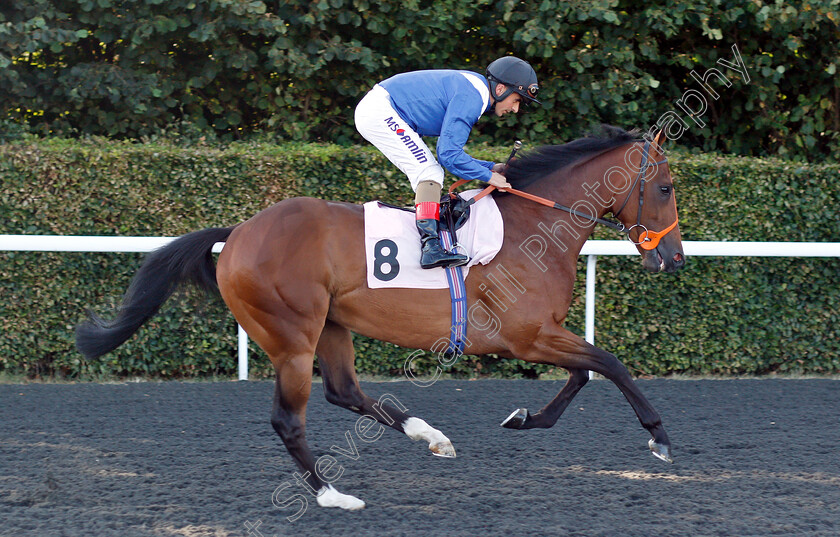 Maaward-0001 
 MAAWARD (Andrea Atzeni) before winning The 32Red On The App Store Novice Stakes Div 1 
Kempton 8 Aug 2018 - Pic Steven Cargill / Racingfotos.com