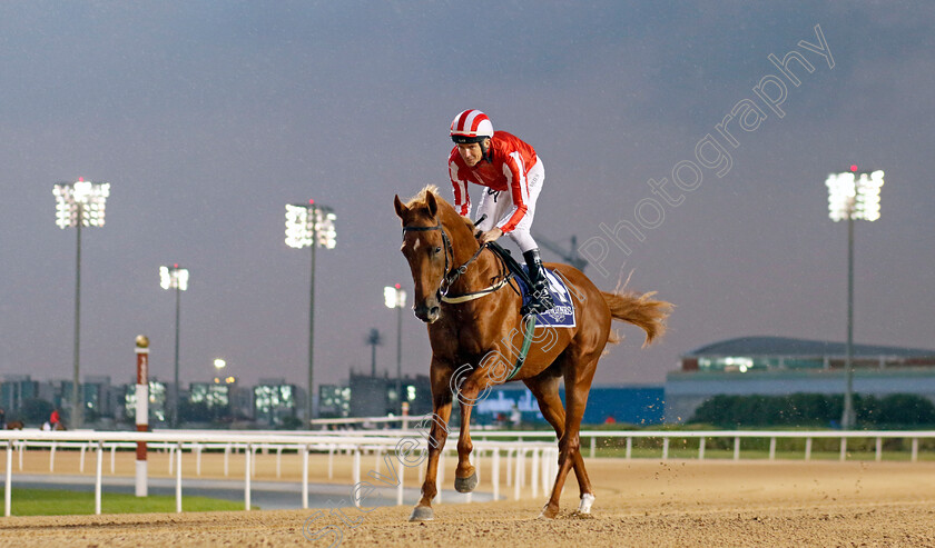 Go-Soldier-Go-0001 
 GO SOLDIER GO (Adrie de Vries)
Meydan 27 Jan 2023 - Pic Steven Cargill / Racingfotos.com