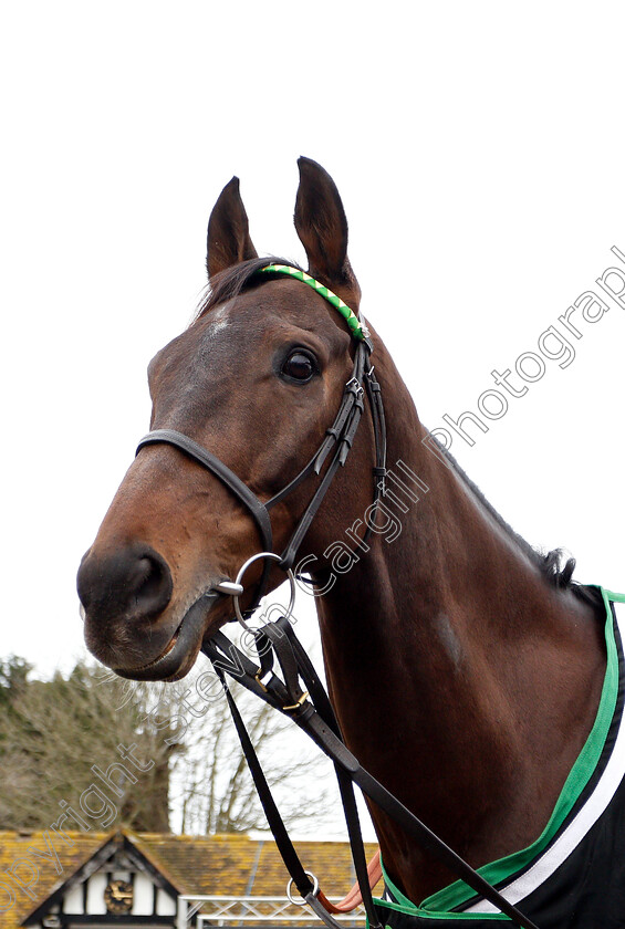 Buveur-D Air-0002 
 BUVEUR D'AIR 
Lambourn 18 Feb 2019 - Pic Steven Cargill / Racingfotos.com