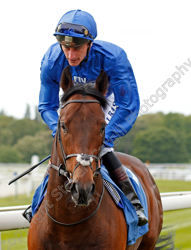 Harry-Angel-0002 
 HARRY ANGEL (Adam Kirby) before winning The Duke Of York Stakes York 16 May 2018 - Pic Steven Cargill / Racingfotos.com