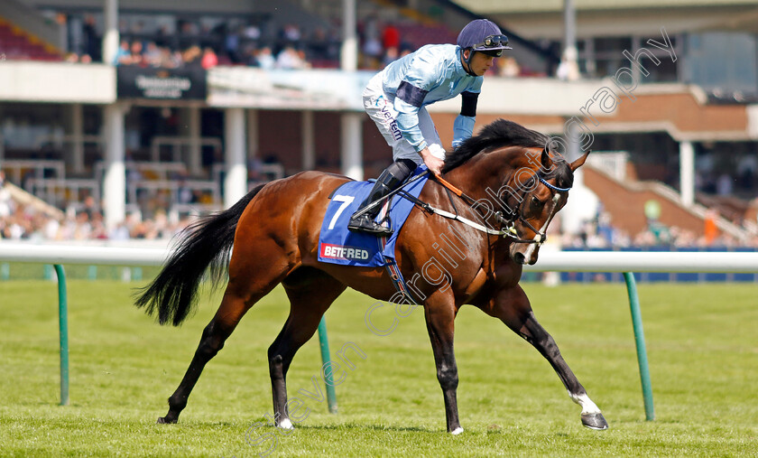 Spycatcher-0002 
 SPYCATCHER (Clifford Lee)
Haydock 28 May 2022 - Pic Steven Cargill / Racingfotos.com