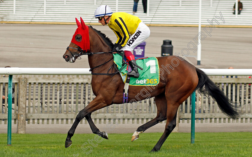 Ambiente-Amigo-0001 
 AMBIENTE AMIGO (Frankie Dettori)
Newmarket 13 Oct 2023 - Pic Steven Cargill / Racingfotos.com