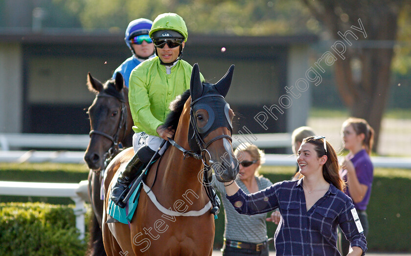 Balqaa-0001 
 BALQAA (Sean Levey)
Kempton 4 Aug 2021 - Pic Steven Cargill / Racingfotos.com