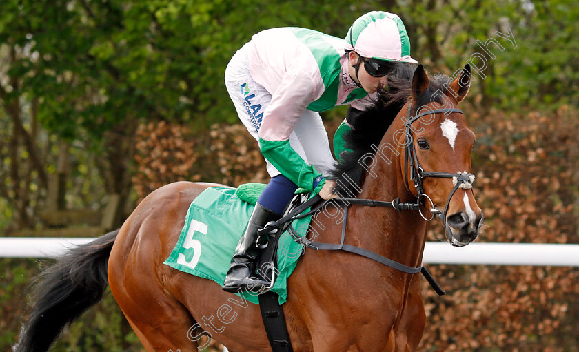 Great-Chieftain-0002 
 GREAT CHIEFTAIN (Billy Loughnane)
Kempton 3 Apr 2024 - Pic Steven Cargill / Racingfotos.com