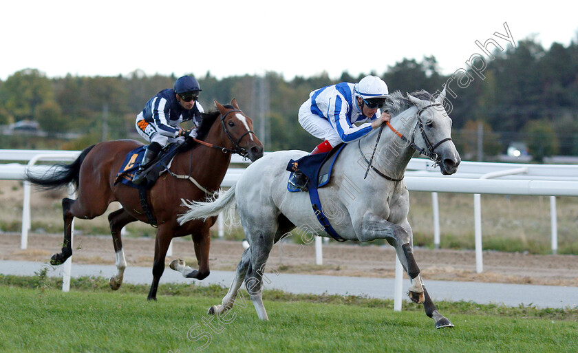 Thundering-Blue-0007 
 THUNDERING BLUE (Fran Berry) wins The Stockholm Cup International
Bro Park, Sweden 23 Sep 2018 - Pic Steven Cargill / Racingfotos.com