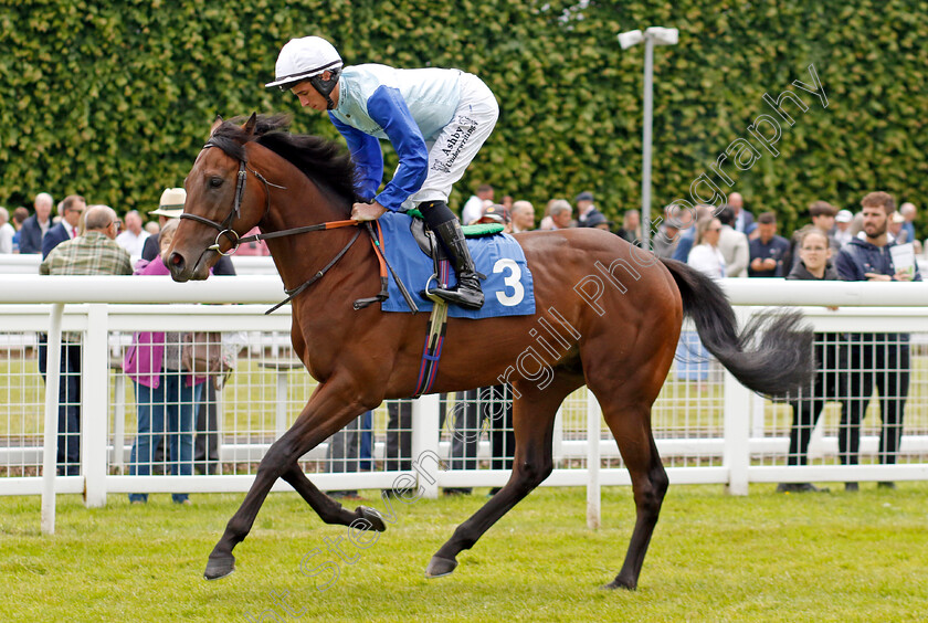 Chelsea-Embankment-0001 
 CHELSEA EMBANKMENT (Rossa Ryan)
Salisbury 16 Jun 2024 - Pic Steven Cargill / Racingfotos.com