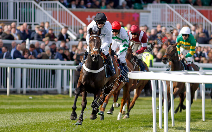 Constitution-Hill-0011 
 CONSTITUTION HILL (Nico de Boinville) wins The William Hill Aintree Hurdle
Aintree 13 Apr 2023 - Pic Steven Cargill / Racingfotos.com