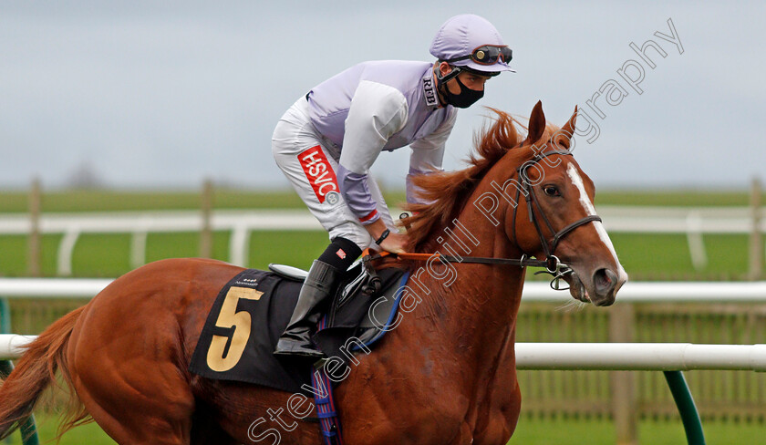 Mascat-0002 
 MASCAT (Tyler Heard)
Newmarket 30 Oct 2020 - Pic Steven Cargill / Racingfotos.com