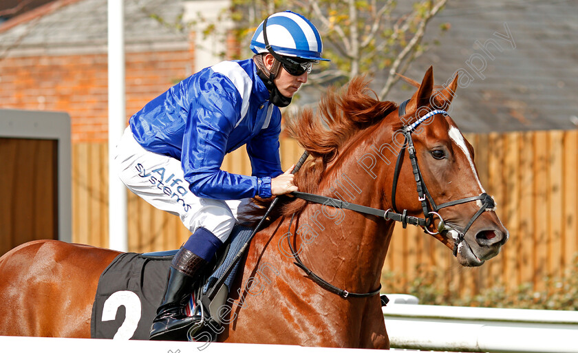 Haajoos-0002 
 HAAJOOS (Jim Crowley)
Newbury 18 Sep 2020 - Pic Steven Cargill / Racingfotos.com