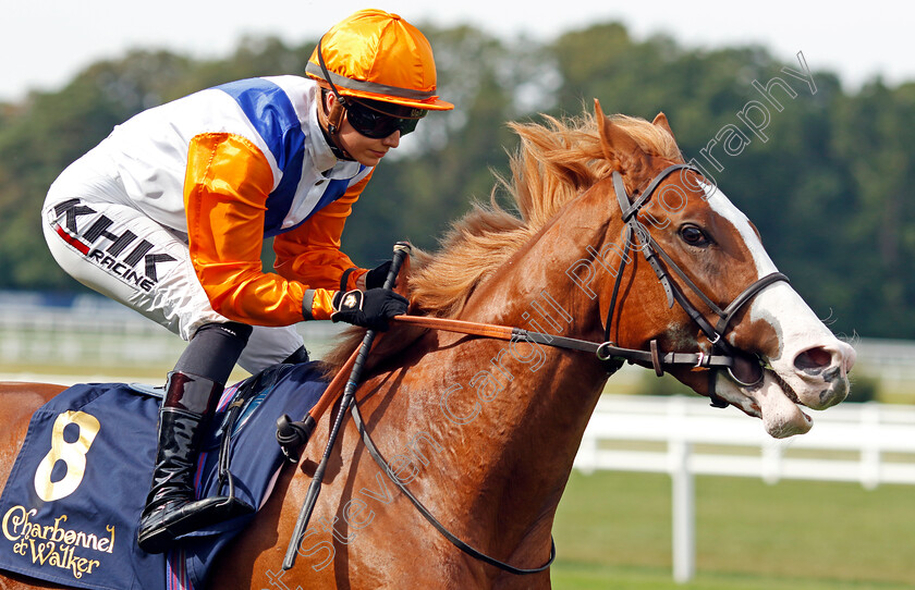 Ten-Bob-Tony-0001 
 TEN BOB TONY (Saffie Osborne)
Ascot 8 Sep 2023 - Pic Steven Cargill / Racingfotos.com